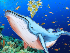 биткоин киты