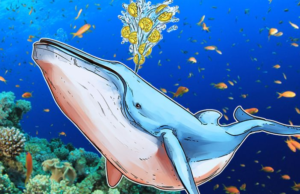 биткоин киты