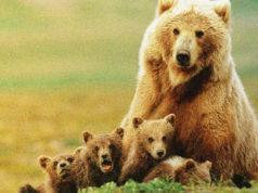 Binance Research: Биткоин перешел в новую фазу