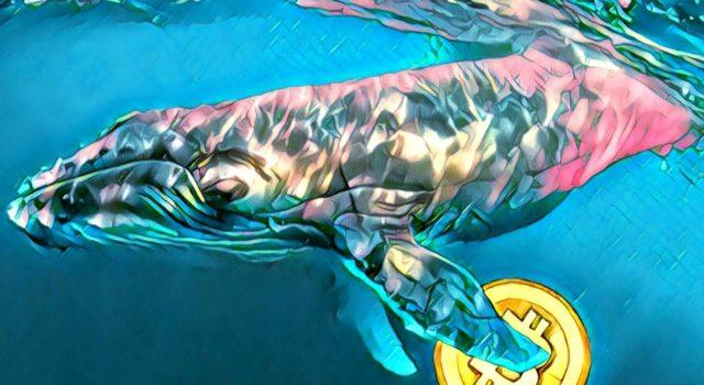 bitcoin whale