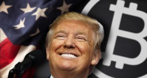 Bitcoin-Trump