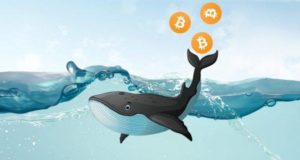 bitcoin-whale
