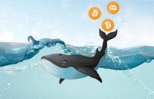 bitcoin-whale