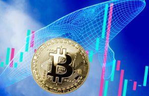 Bitcoin-whale