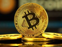 ARK Invest призвали хранить биткоин десятилетиями биткоин