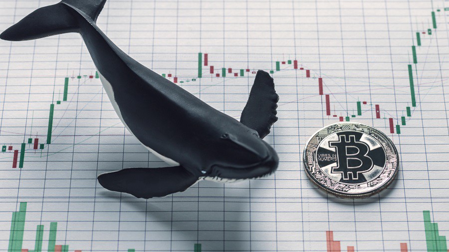 Chainalysis: За неделю «киты» купили 77 000 BTC