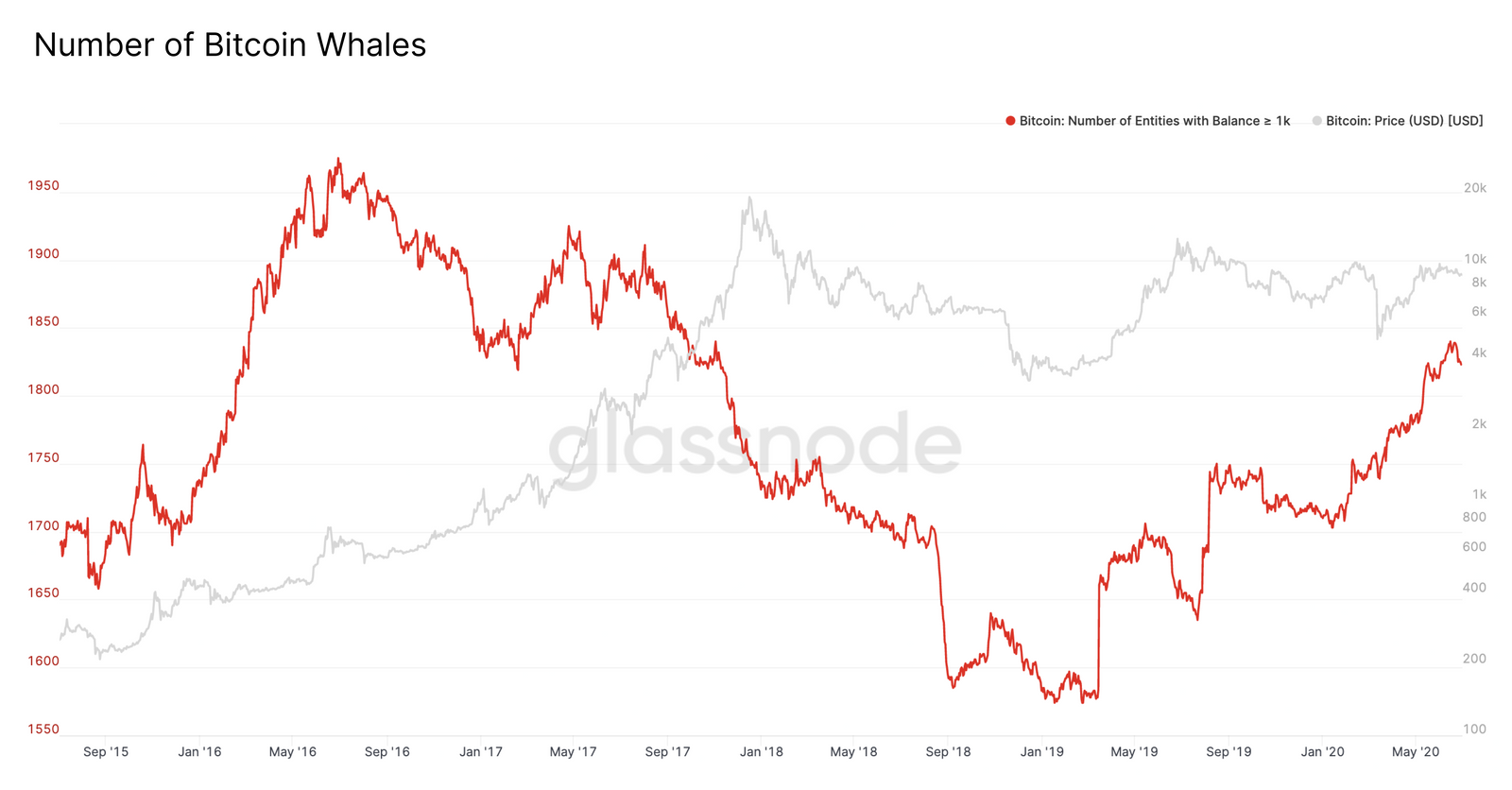 Аналитики Glassnode объяснили прирост числа китов на рынке биткоина