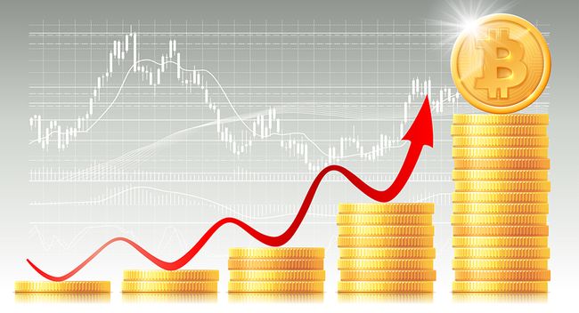 Цена биткоина прибавила более 10% за сутки