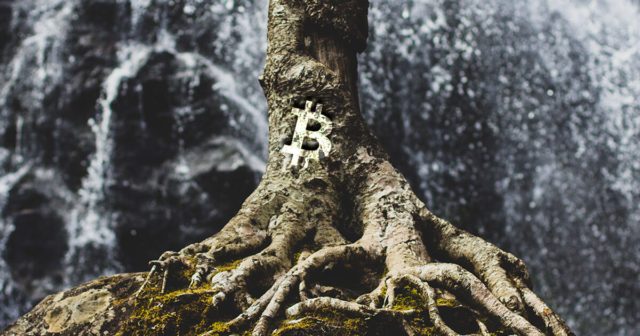 bitcoin-tap-root