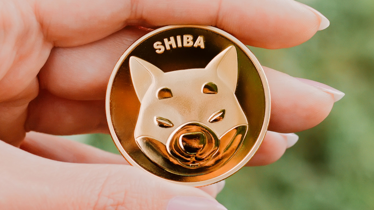 Число владельцев Shiba Inu превысило отметку в 1 млн