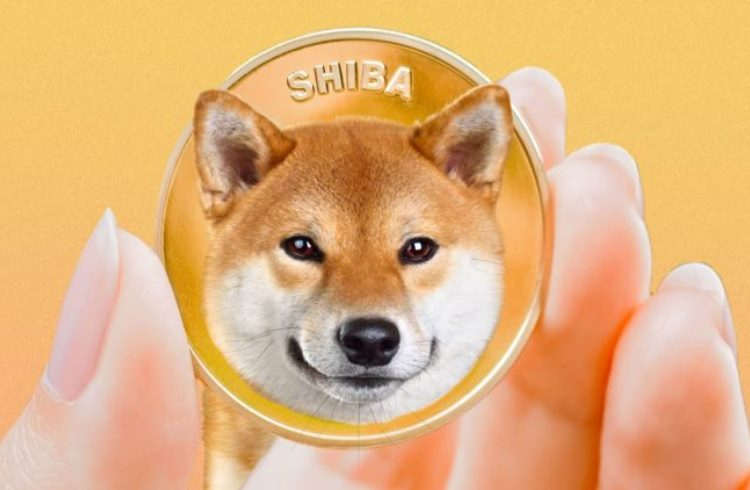 Платежи в Shiba Inu стали доступны на платформе Travala