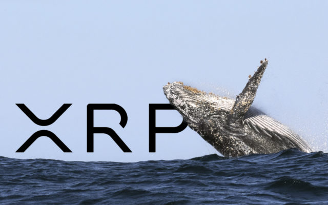 Число токенов XRP сосредоточенных в руках криптокитов бьет рекорды 