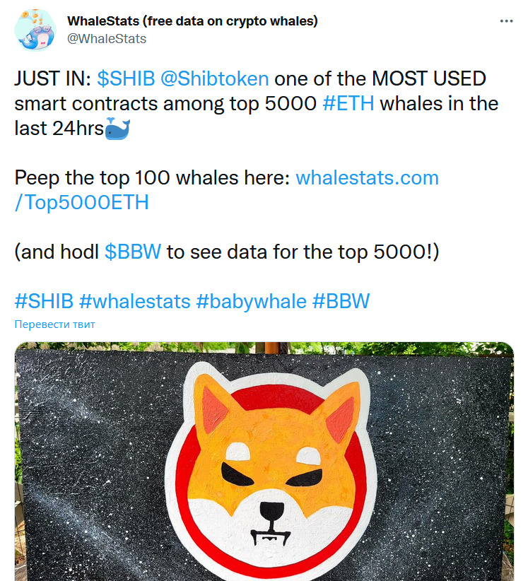 Популярность Shiba Inu набирает обороты