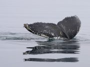 Кошелек Хейса купил эфир на $6,39 млн