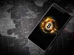 Число биткоин-кошельков с 10 000 BTC достигло максимума за 6 месяцев