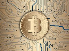 Опрос Bitwise: институционалы продолжают держать биткоин