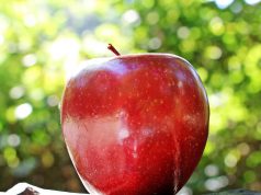 Тим Кук покинул пост главы Apple, его сменил Джон Тернус