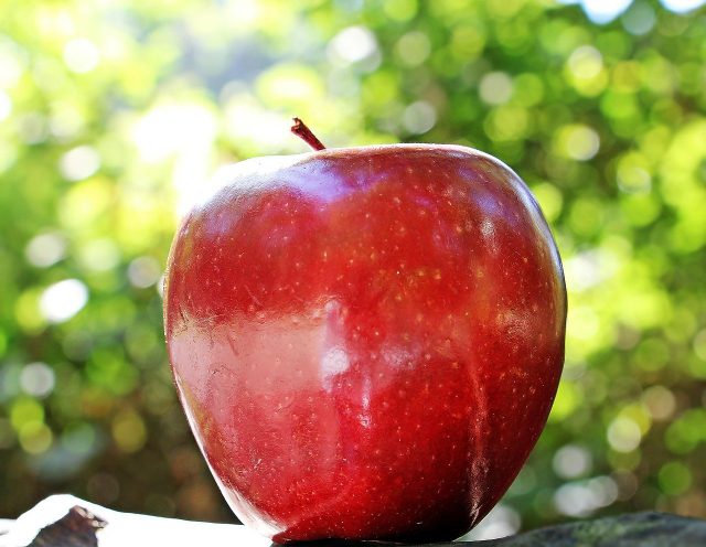 Apple